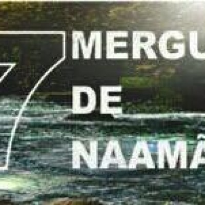 Os 7 Mergulhos de Naamã