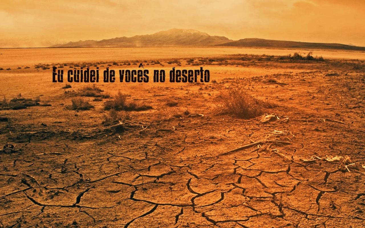 A escola do deserto